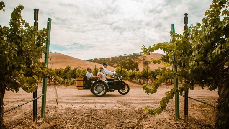 a couple in a side car with a driver on the motorcycle going through a vineyard