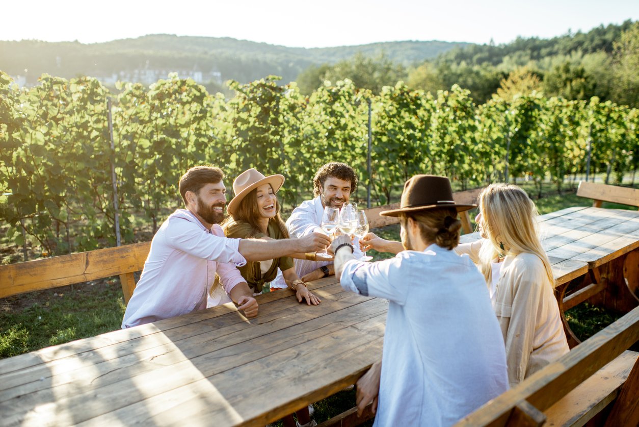 Friends at a picnic table in a vineyard raising glasses to toast