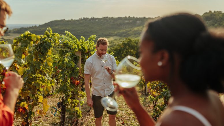 Sommelier and clients smelling the aroma of white wine in vineyard