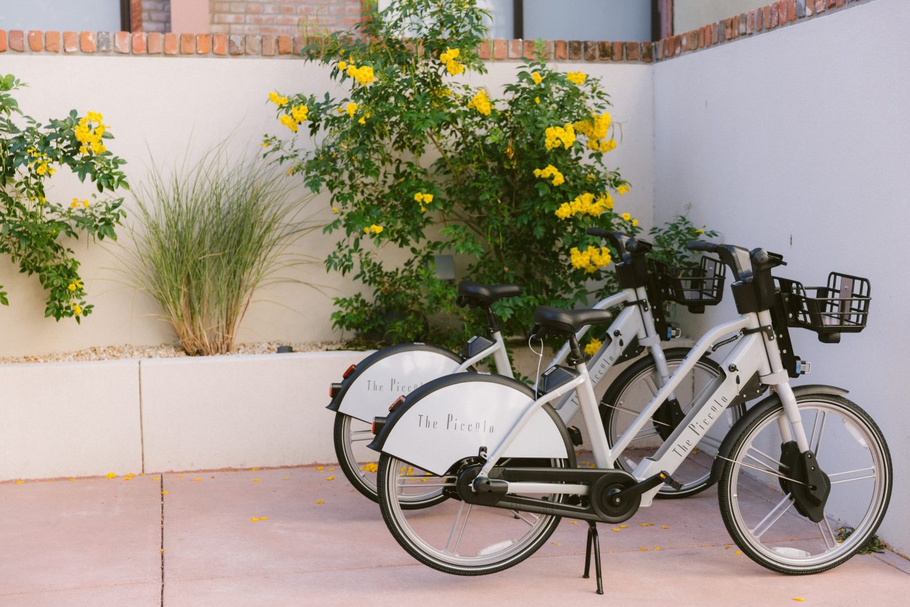2 Bicycles in a stand  in front of a garden wall