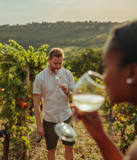 People sipping wine in the vineyard