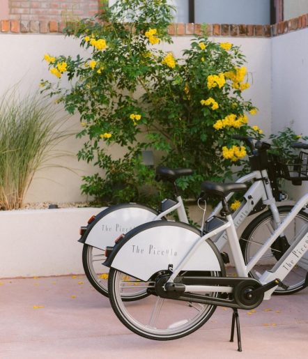 2 Bicycles in a stand  in front of a garden wall