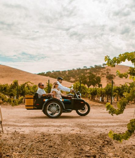 A couple in a side car with a driver going through a vineyard