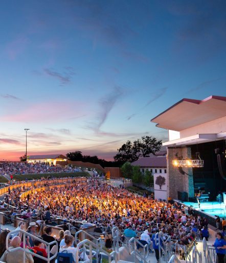 outdoor concert venue at night with a full audience