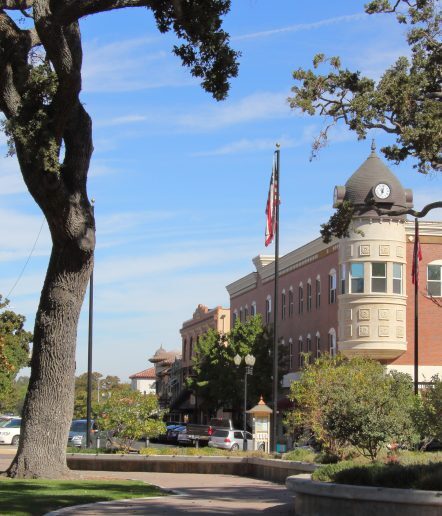 A path with a brick building with a rotunda on the right, a palm tree on the left side of the path