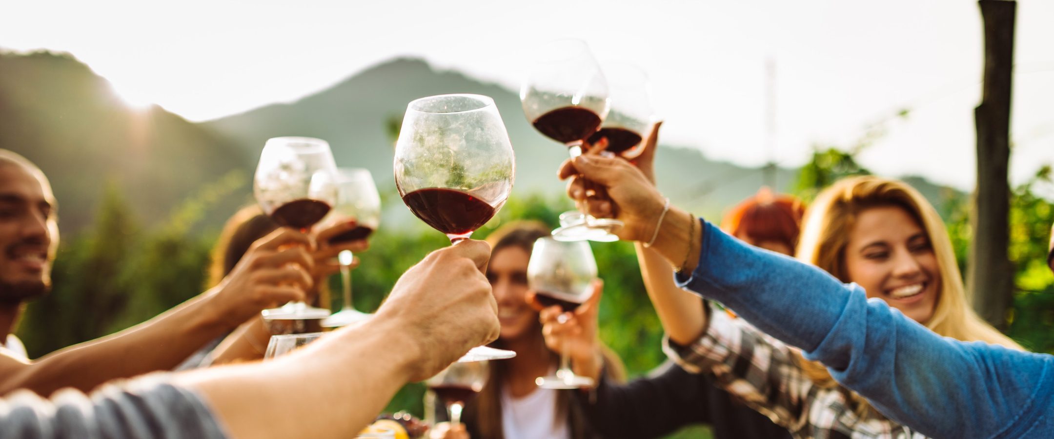 friends doing a wine tasting all together