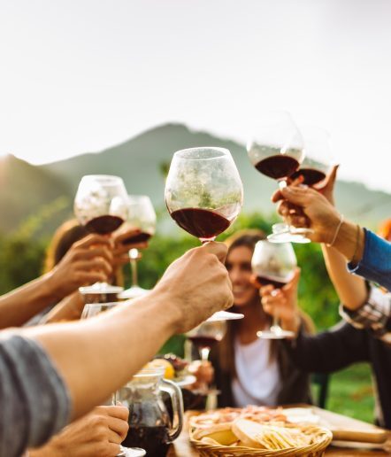 friends doing a wine tasting all together