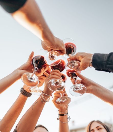 7 arms raising wine glasses to toast with the sky above